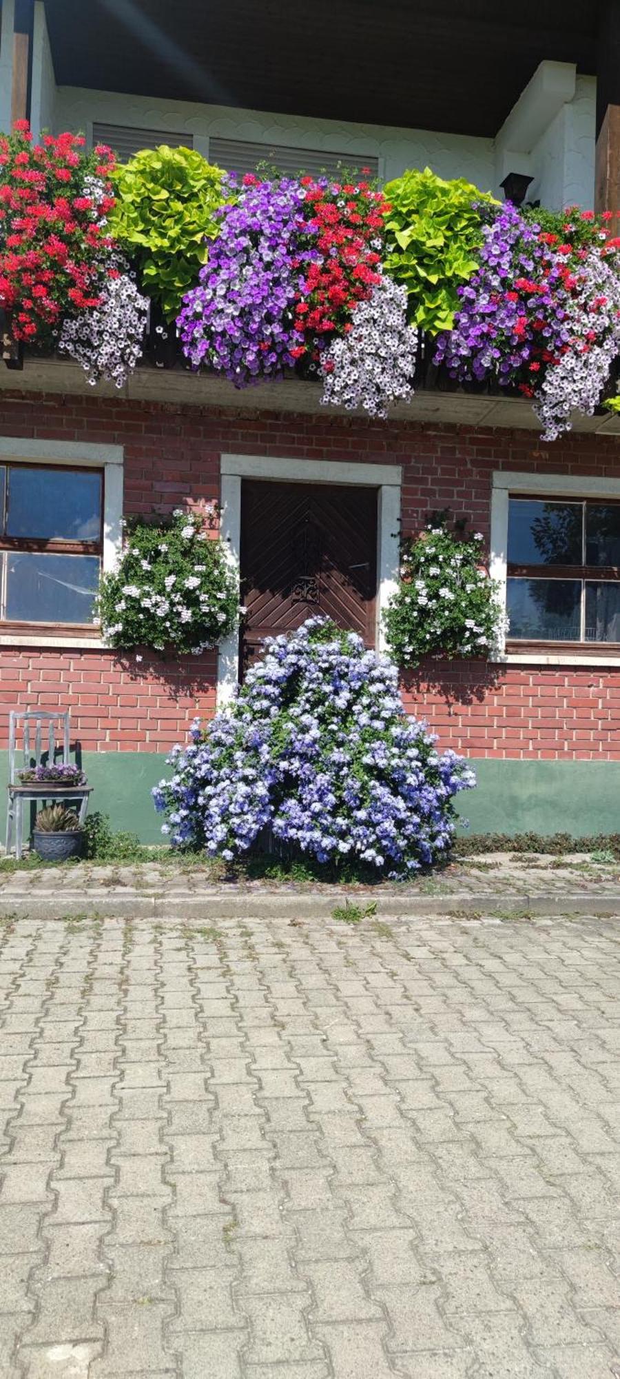 Gaestehaus Fechtig Hergensweiler 외부 사진