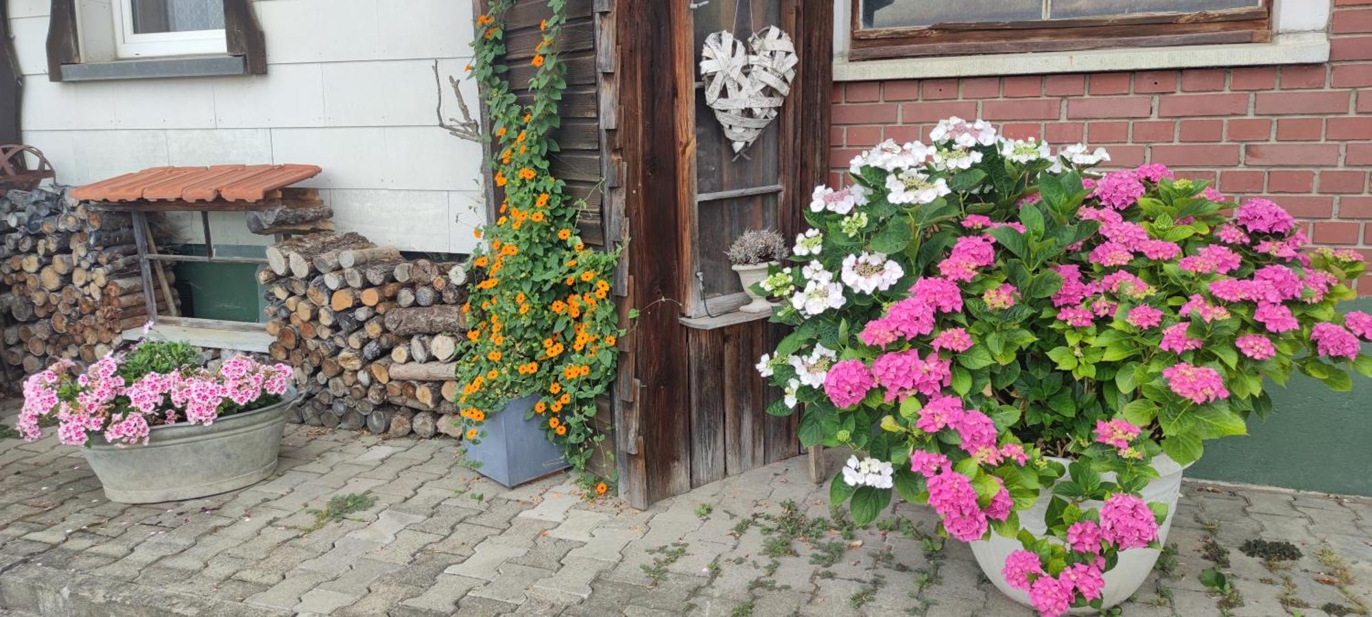 Gaestehaus Fechtig Hergensweiler 외부 사진